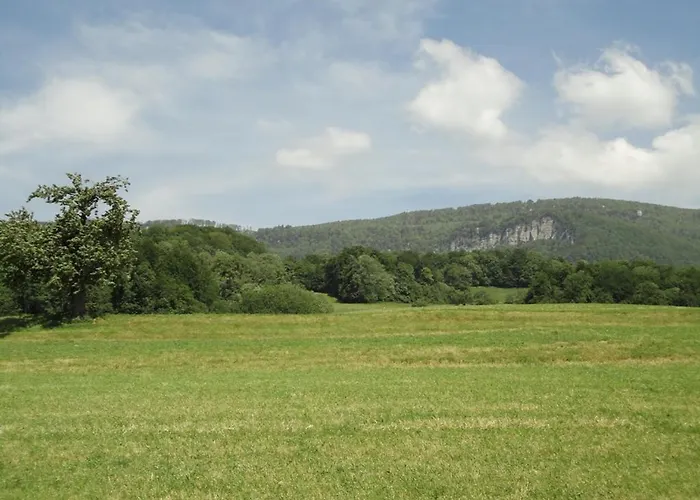 Jurastei14