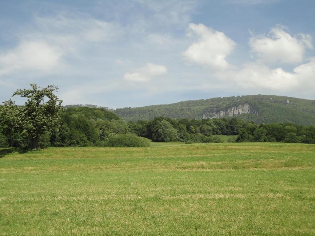 Appartamento Jurastei14 Wiedlisbach